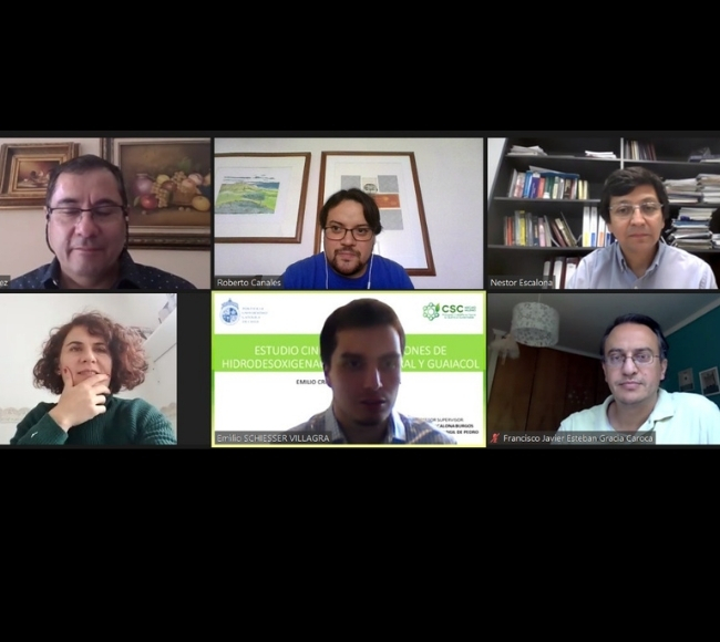 Núcleo Mileno concluye estudio cinético de productos provenientes del